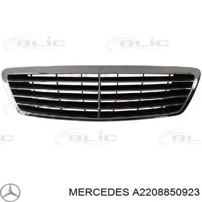 Решітка переднього бампера, центральна A2208850923 Mercedes