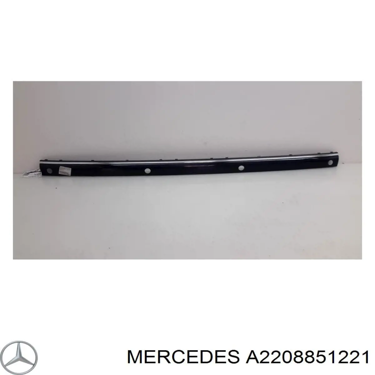 A2208851221 Mercedes Накладка бампера заднього, центральна