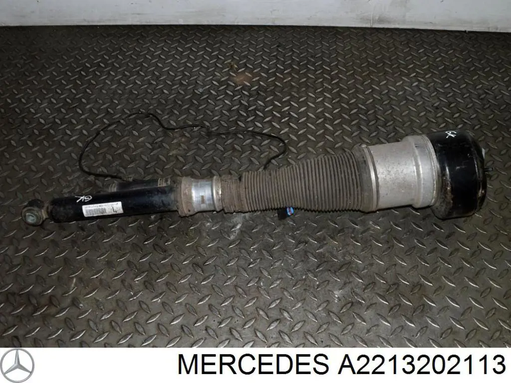 A2213202113 Mercedes Амортизатор задній, лівий
