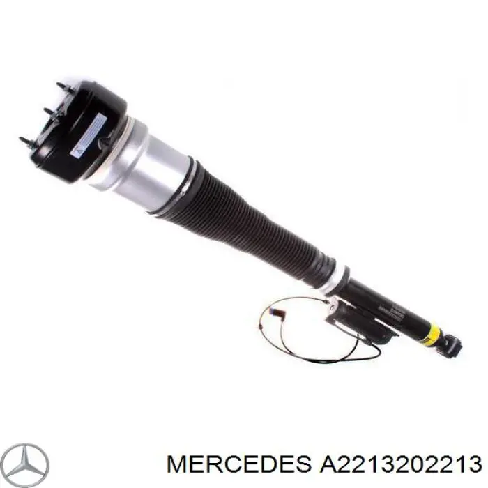Купити A2213202213 Mercedes Амортизатор задній, правий