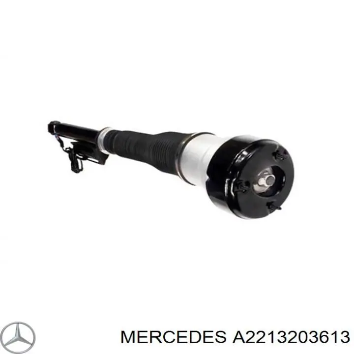 Амортизатор задній, лівий Mercedes A2213203613 ціна, від 177.36 USD