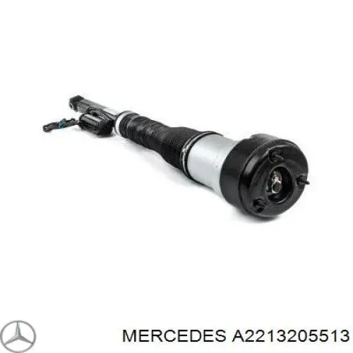 Купити A2213205513 Mercedes Амортизатор задній, лівий