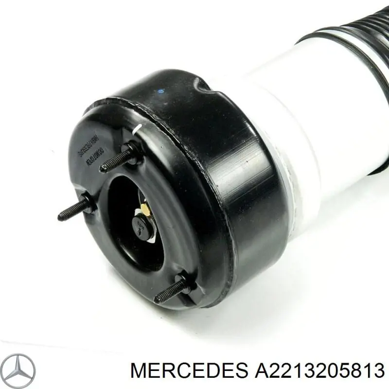 A2213205813 Mercedes Амортизатор задній, правий