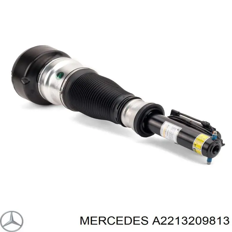 Купити A2213209813 Mercedes Амортизатор передній, правий