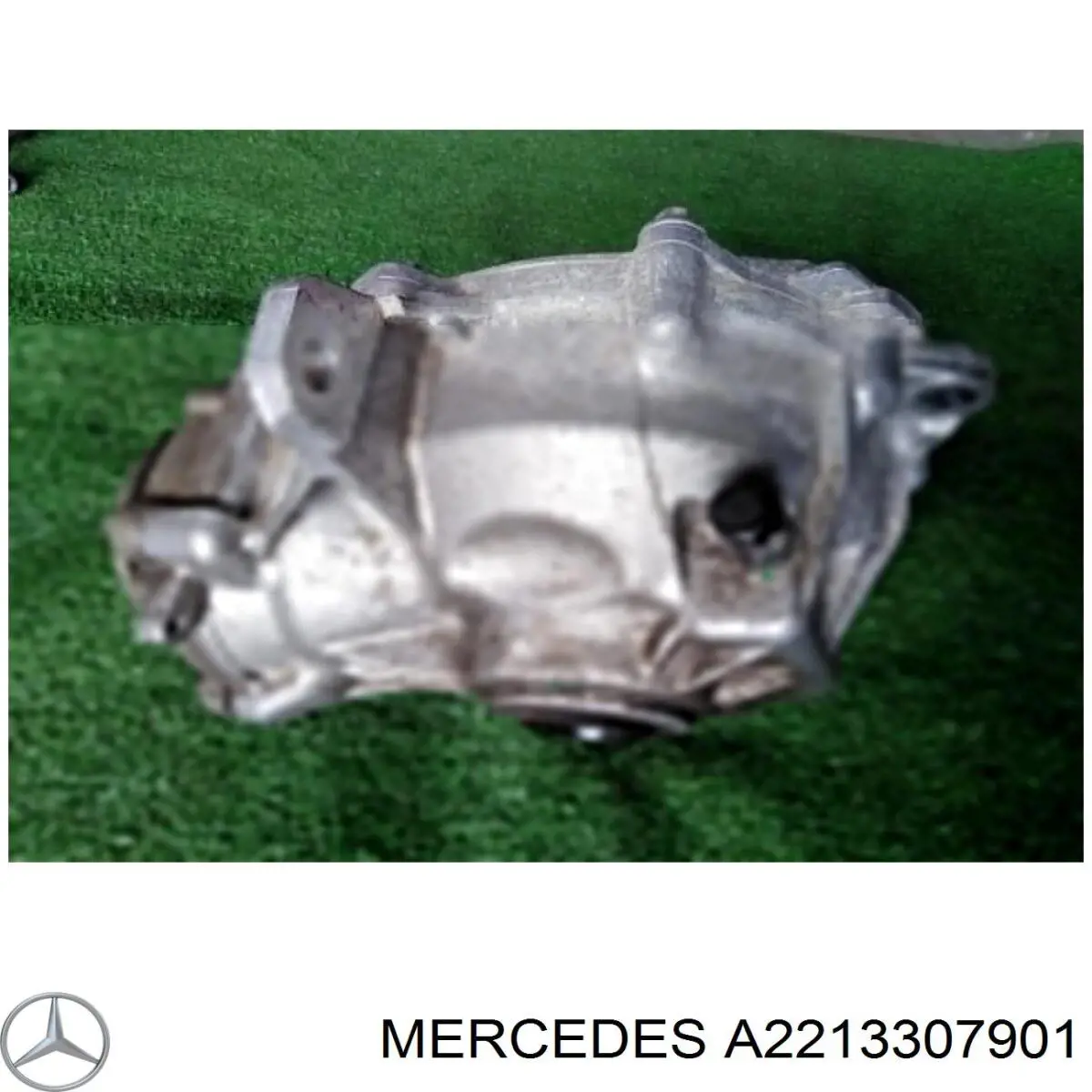 A2213307901 Mercedes 