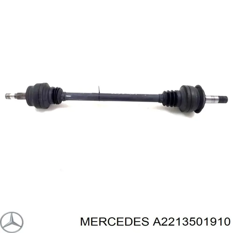 A2213501910 Mercedes Привід задній
