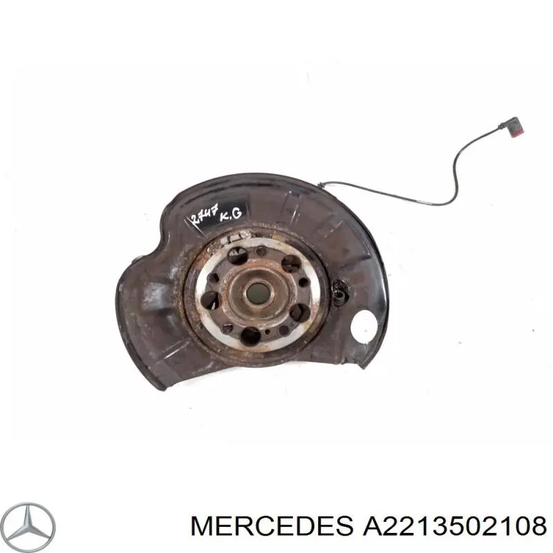 2213502108 Mercedes цапфа - поворотний кулак задній, лівий