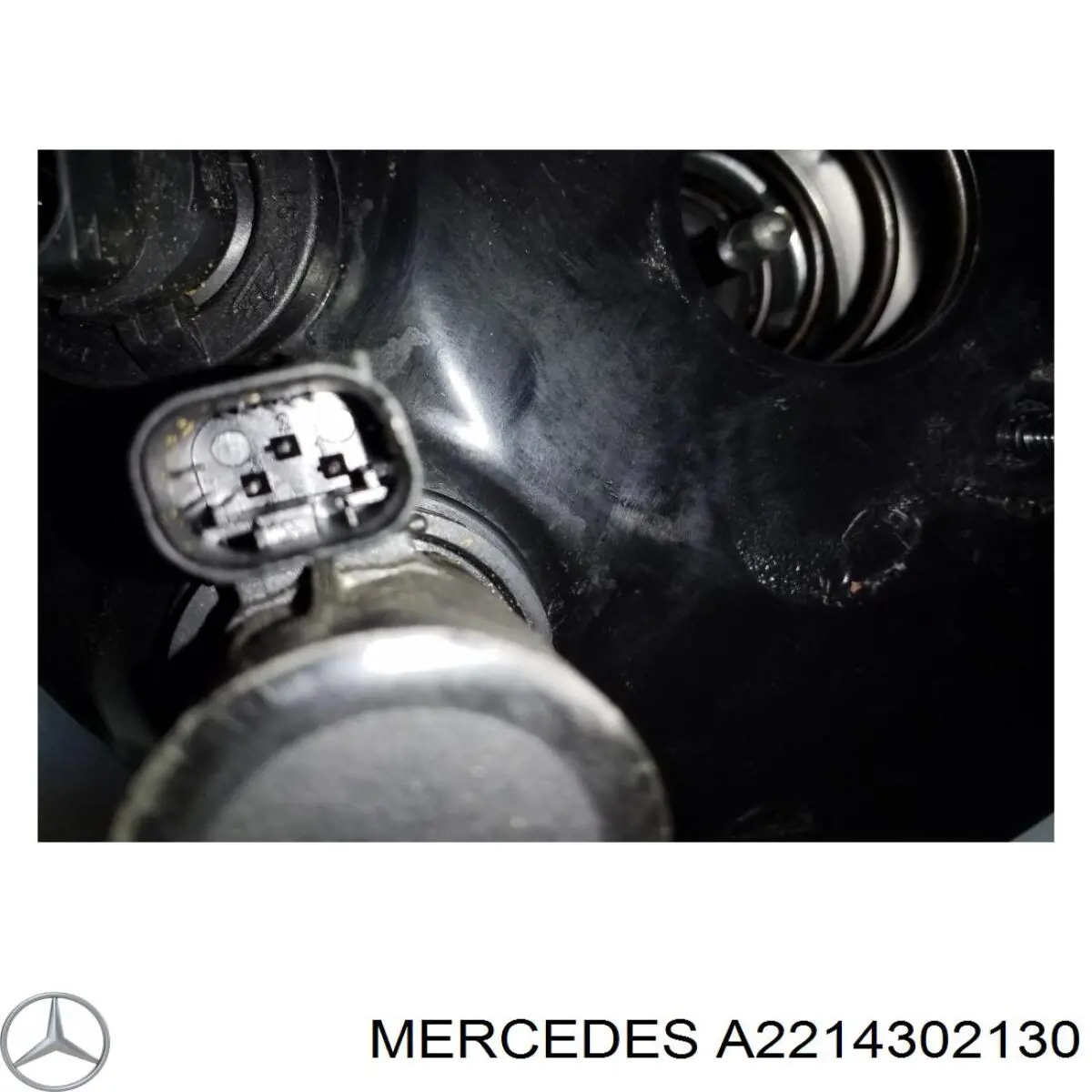 Підсилювач гальм вакуумний на Mercedes S (W221)