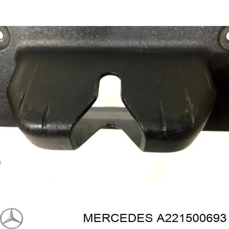 A221500693 Mercedes 