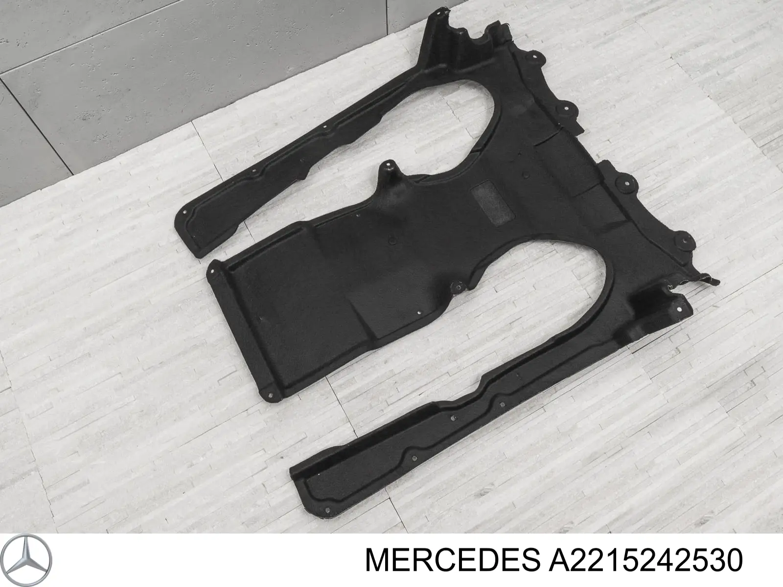 A2215242530 Mercedes Захист двигуна задня