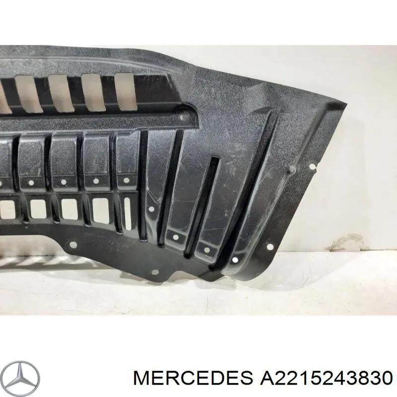 A2215243830 Mercedes Обвіс бампера