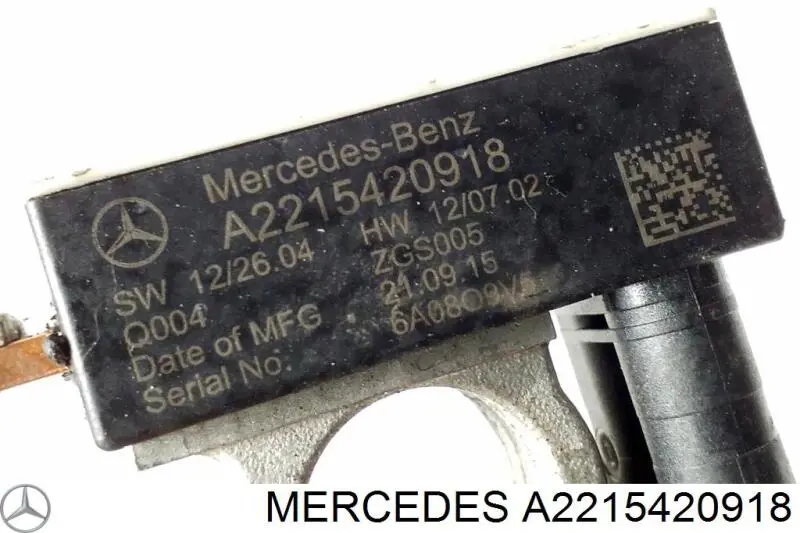 Купити A2215420918 Mercedes 