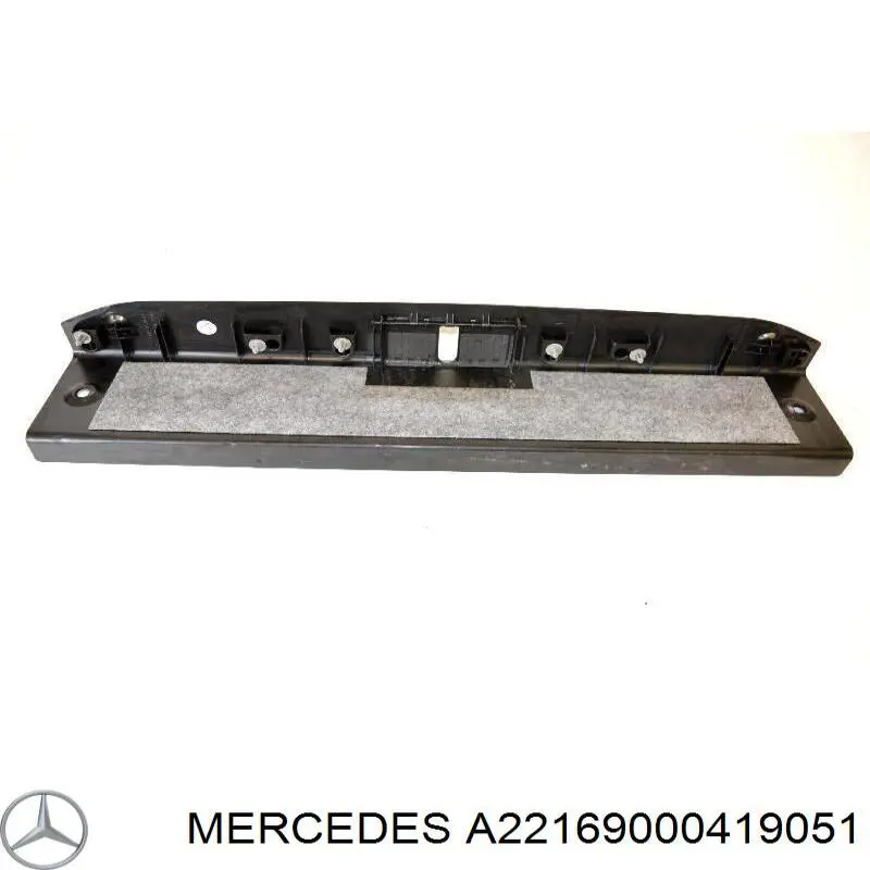 A22169000419051 Mercedes 