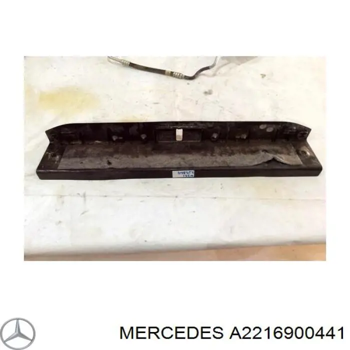 A2216900441 Mercedes 