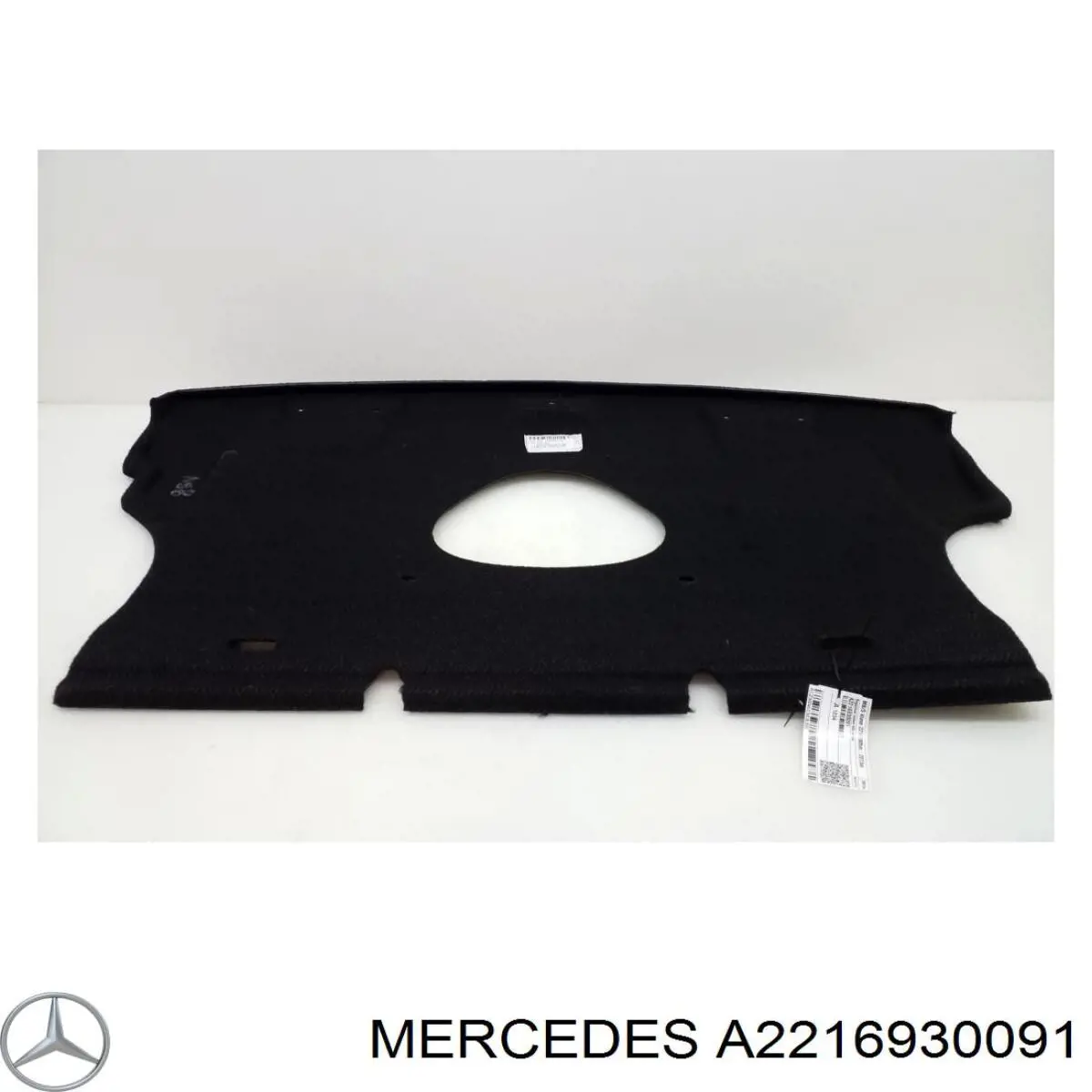 A22169300919F28 Mercedes 
