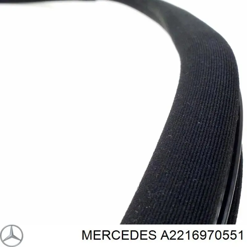  A2216970551 Mercedes
