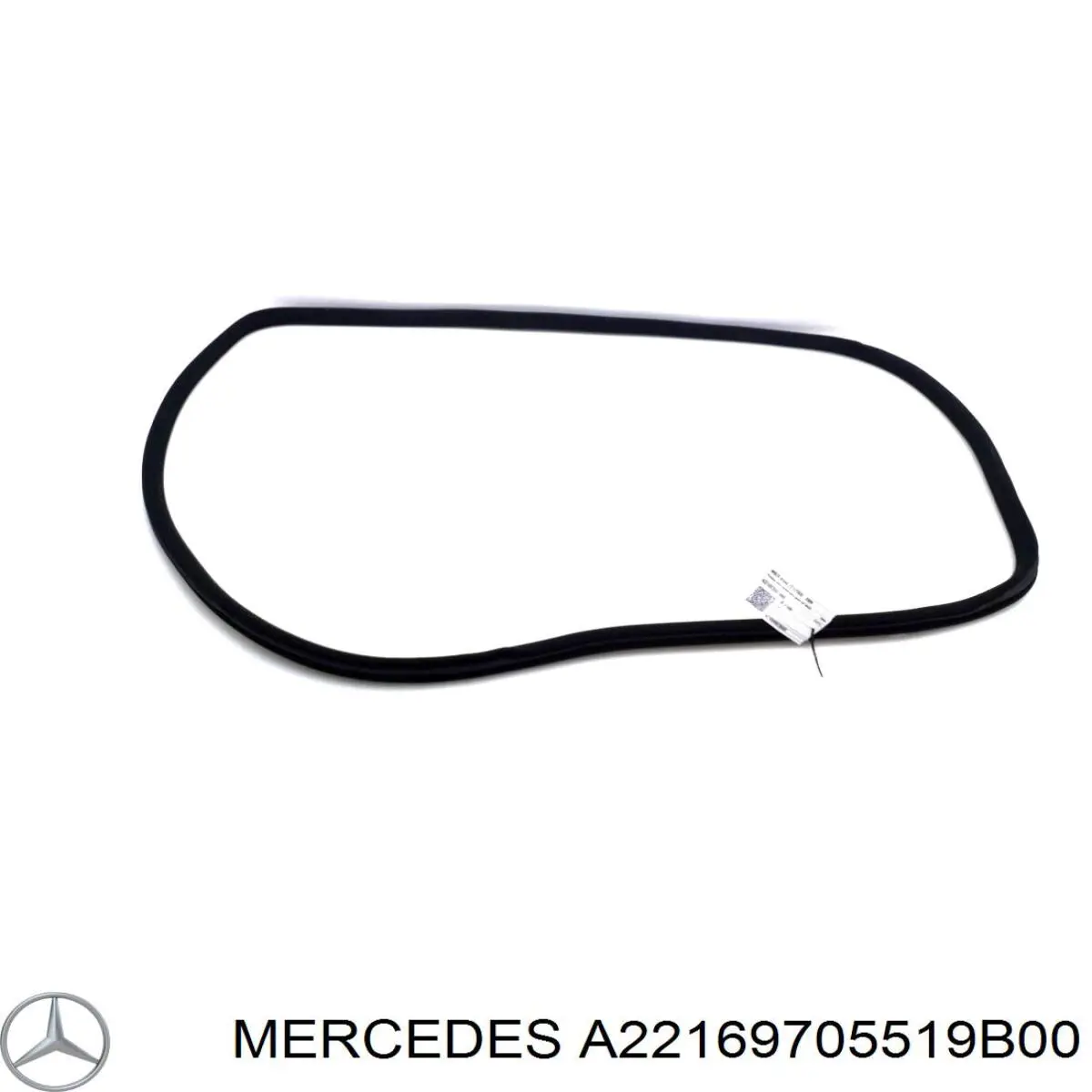 A22169705519B00 Mercedes 