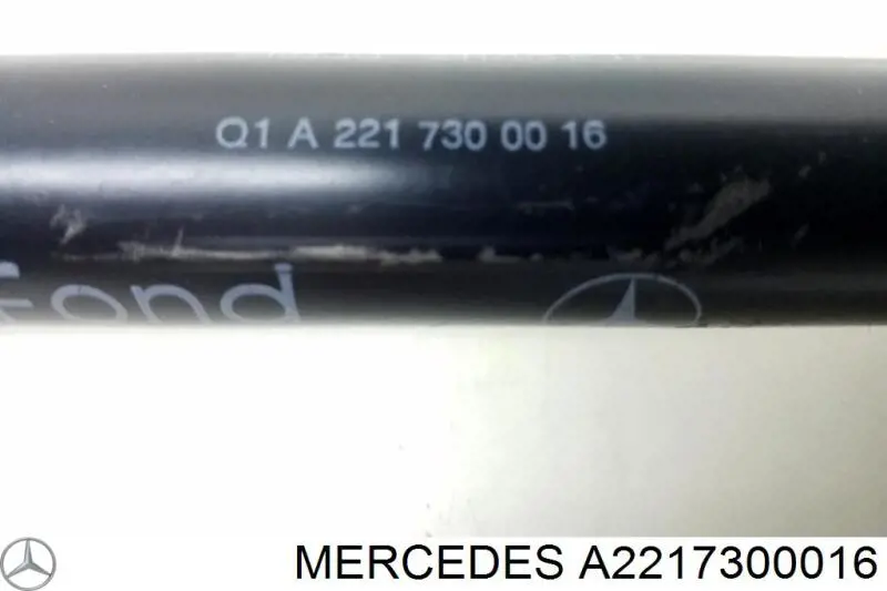 A2217300016 Mercedes Обмежувач відкриття дверей, задній