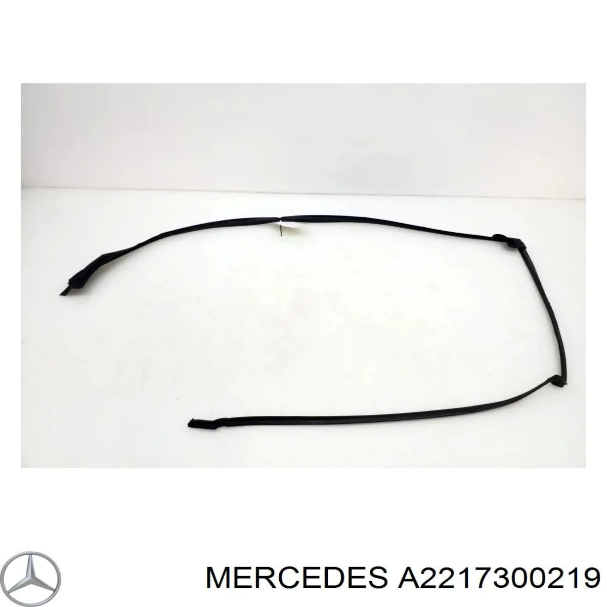  Mercedes A2217300219