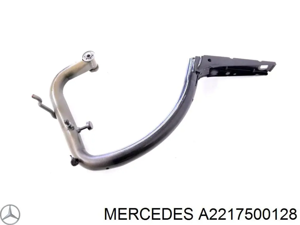 A2217500128 Mercedes Завіса задніх дверей, ляди