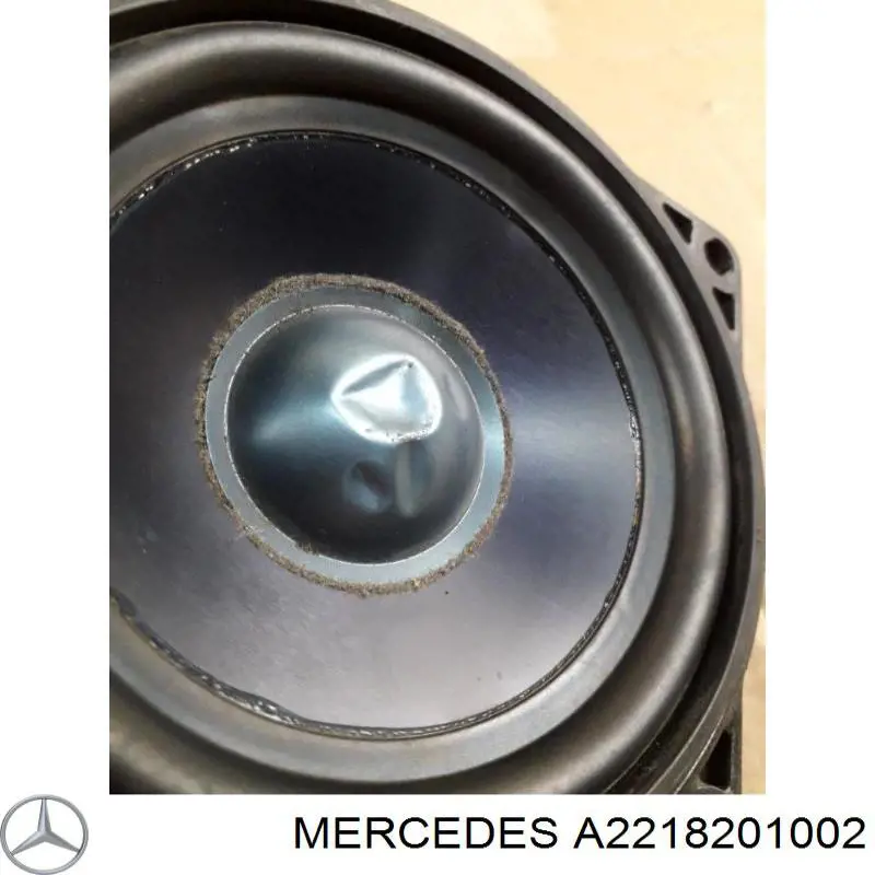 Купити A2218201002 Mercedes 