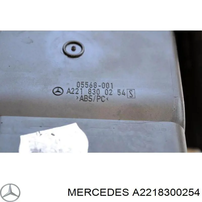 Купити A2218300254 Mercedes 