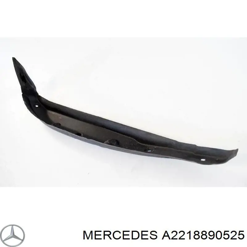  2218890525 Mercedes