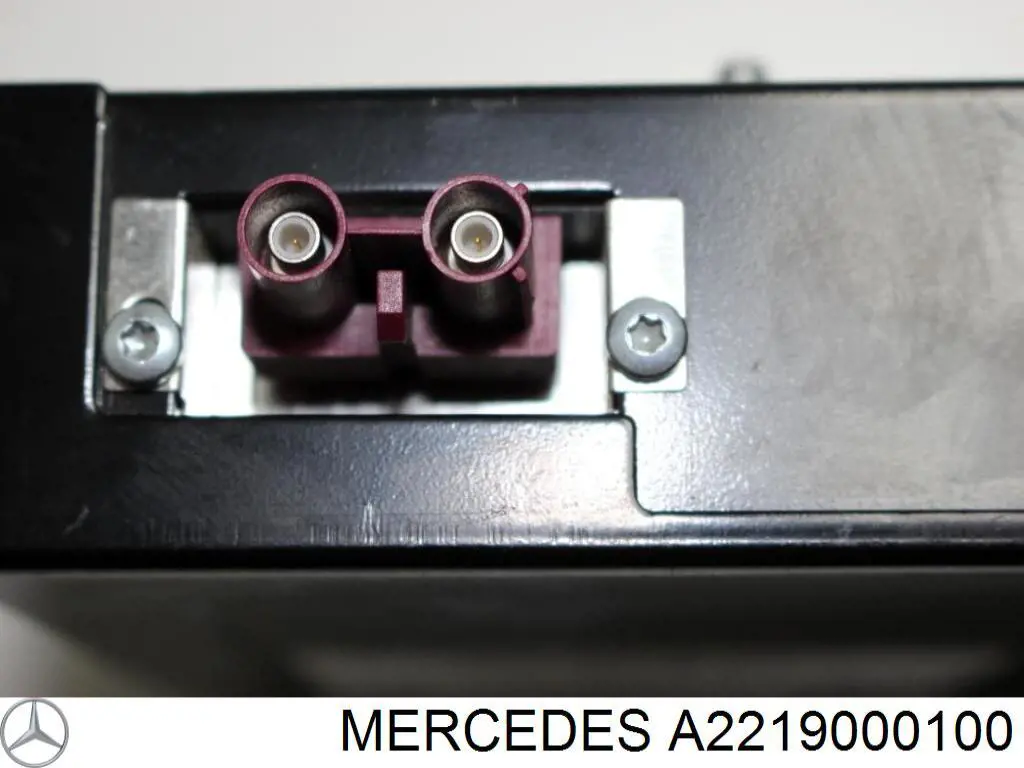 A2219000100 Mercedes 
