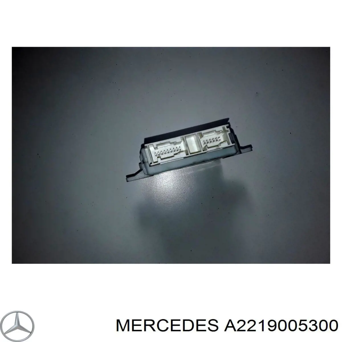 A2219005300 Mercedes 