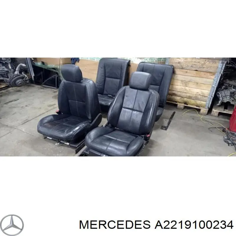 A2219100234 Mercedes 