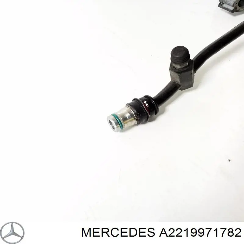 A2219971782 Mercedes 