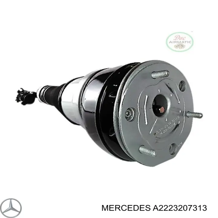 Амортизатор задній, лівий A2223207313 Mercedes