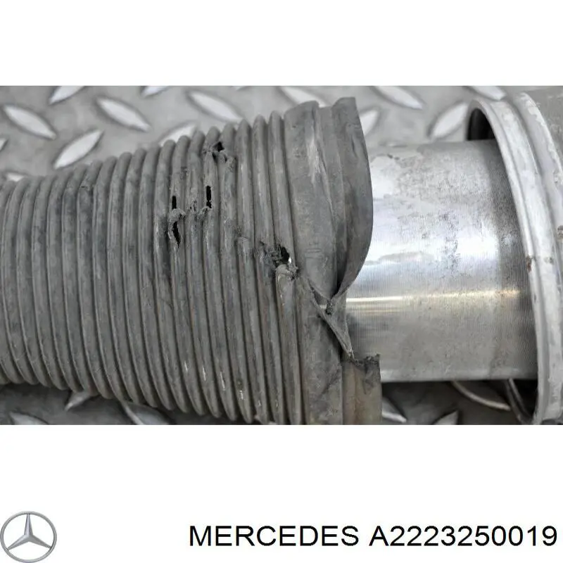 A2223250019 Mercedes 