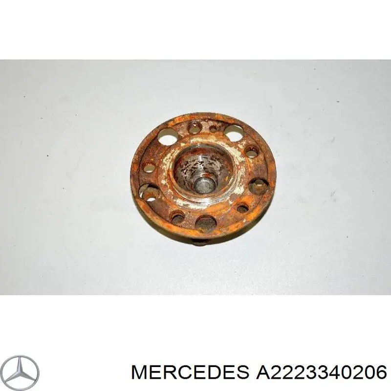 Маточина колеса передня Mercedes A2223340206 ціна, від 111.64 USD