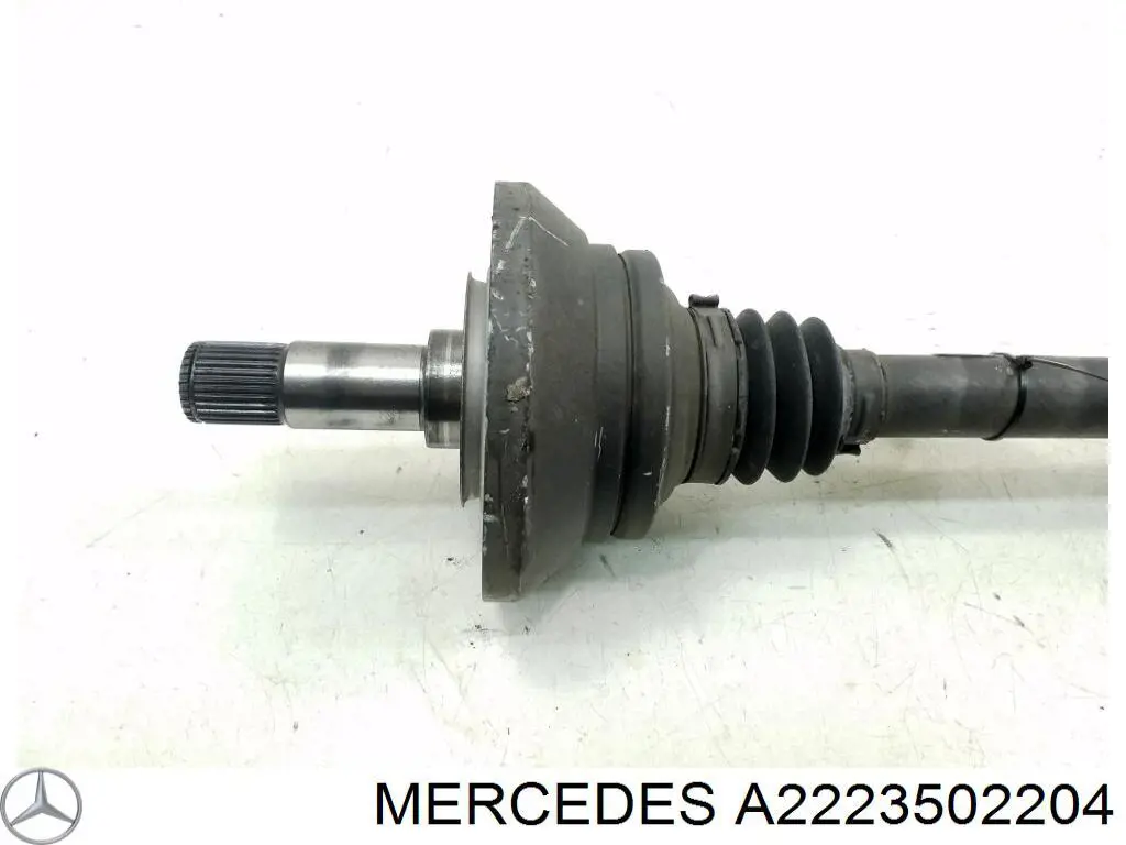 Купити A2223502204 Mercedes 