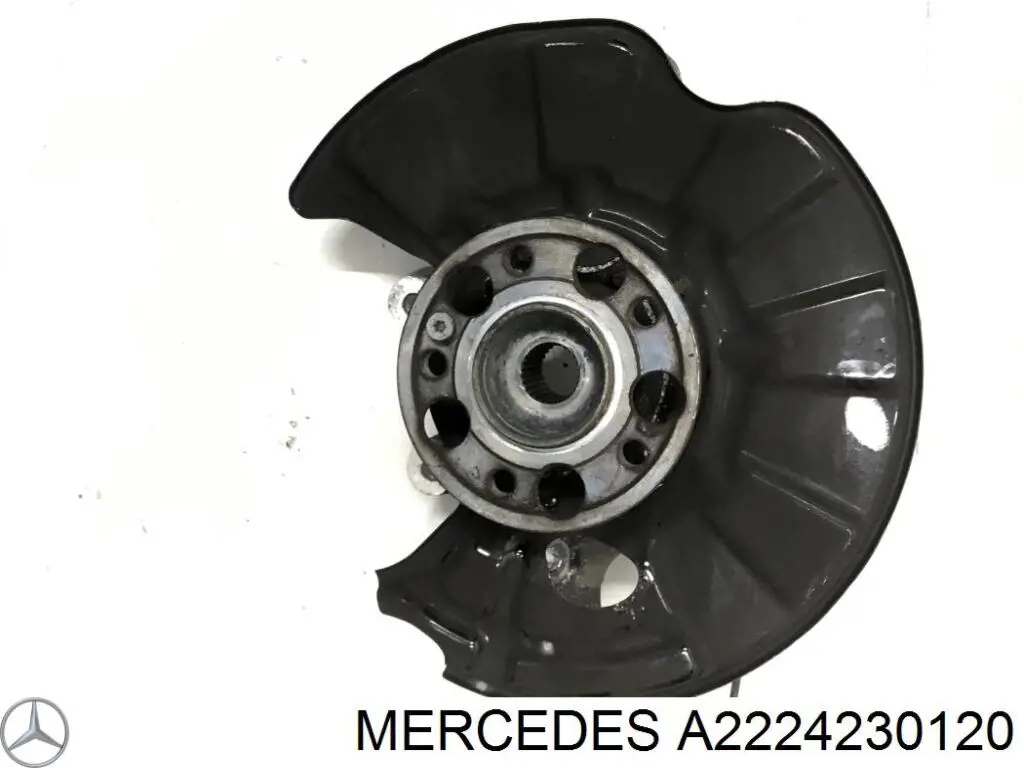 Купити A2224230120 Mercedes Захист гальмівного диска заднього, лівого