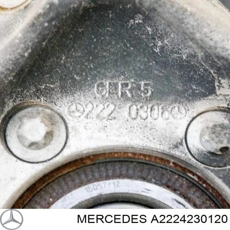 A2224230120 Mercedes Захист гальмівного диска заднього, лівого