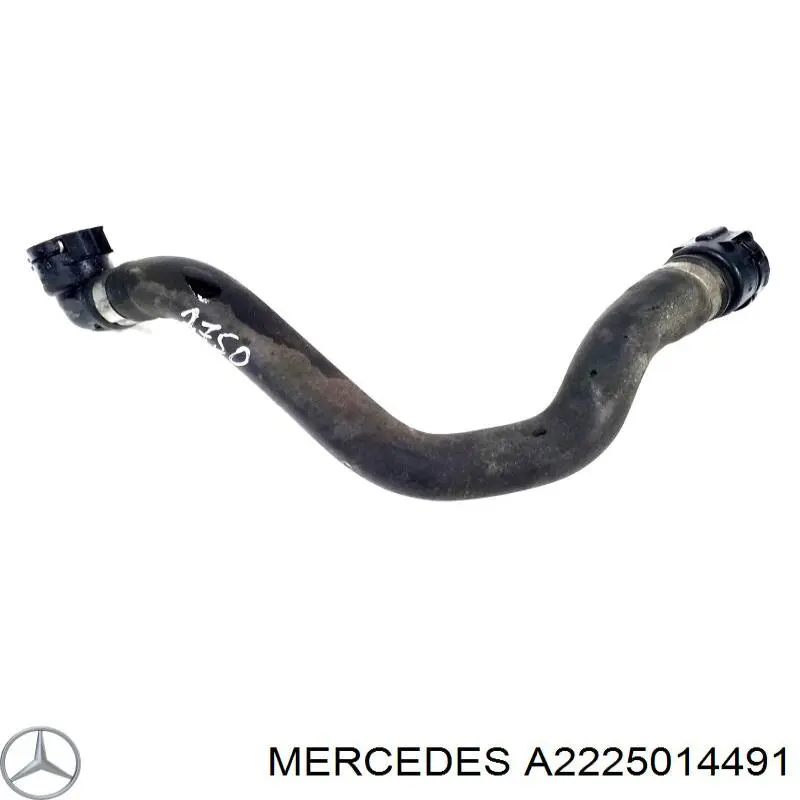  A2225014491 Mercedes