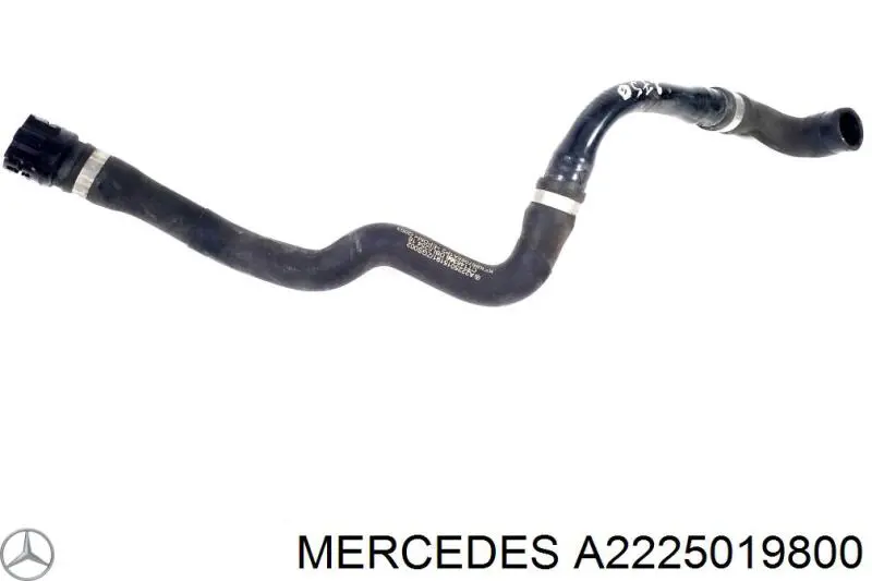 A2225019800 Mercedes 