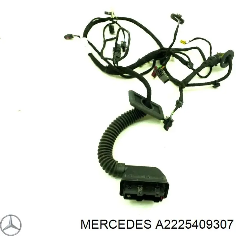 Купити A2225409307 Mercedes 