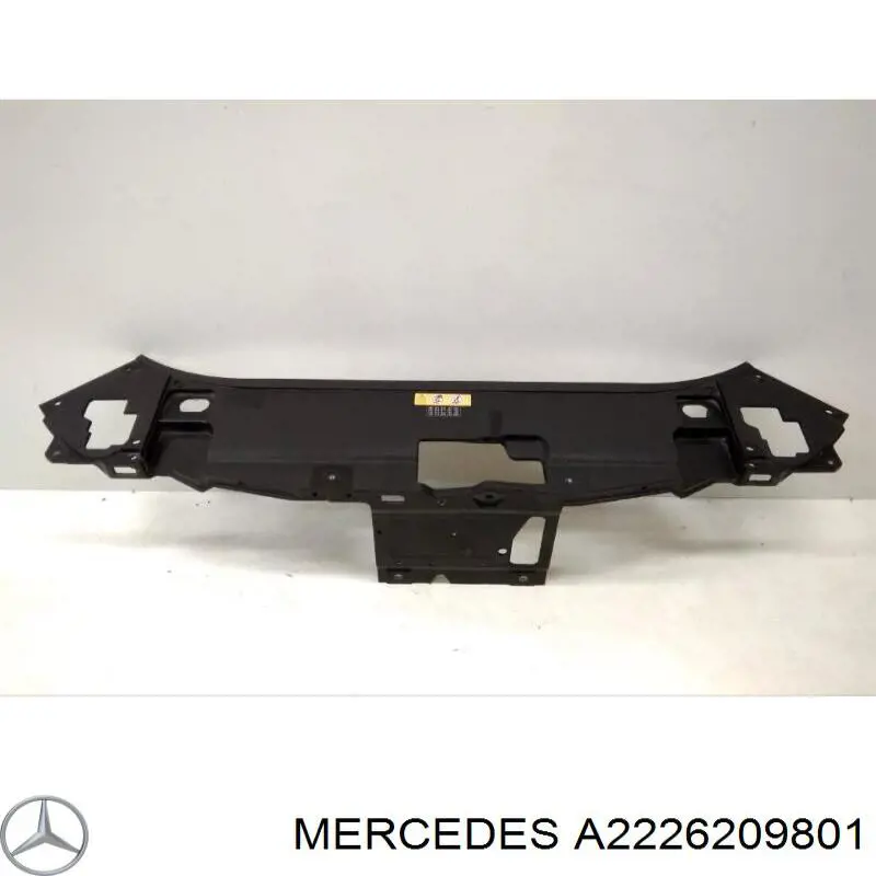 A2226209801 Mercedes Телевізор