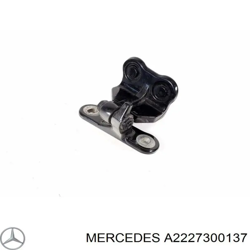 A2227300137 Mercedes Петля задніх дверей, лівих