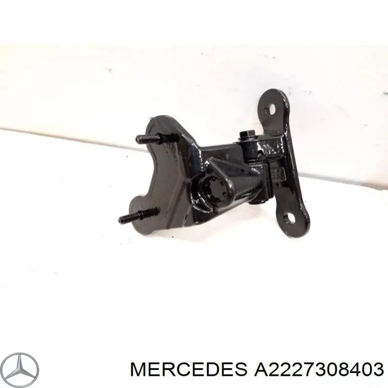 Купити A2227308403 Mercedes Дверний шарнір задній правий