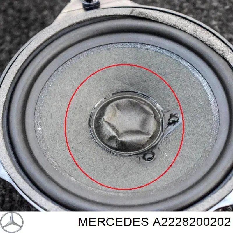 Динамік передньої двері A2228200202 Mercedes
