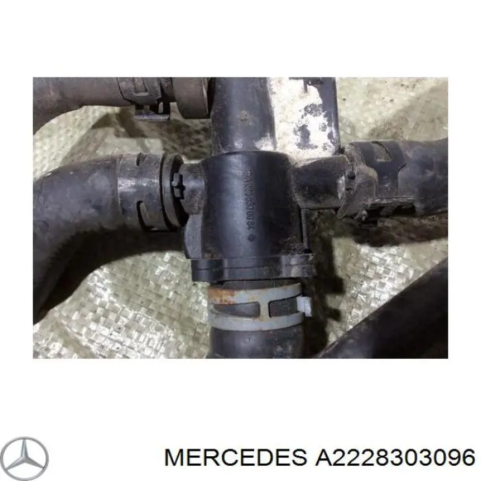 A2228303096 Mercedes 