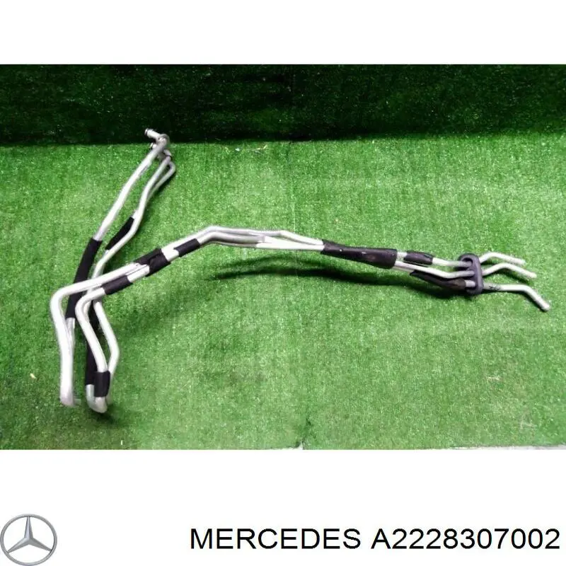  A2228307002 Mercedes