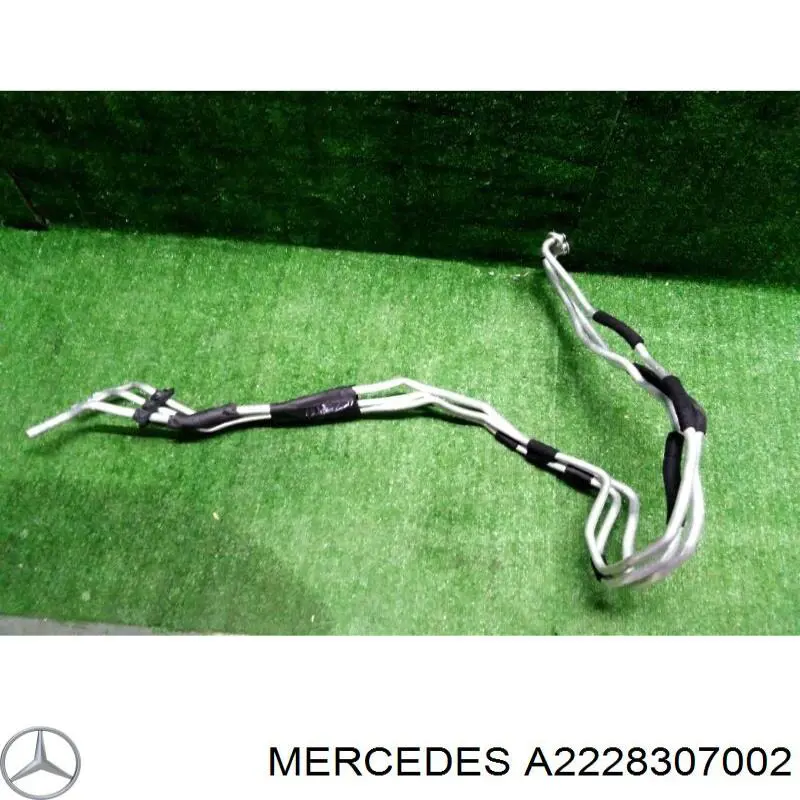 A2228307002 Mercedes 