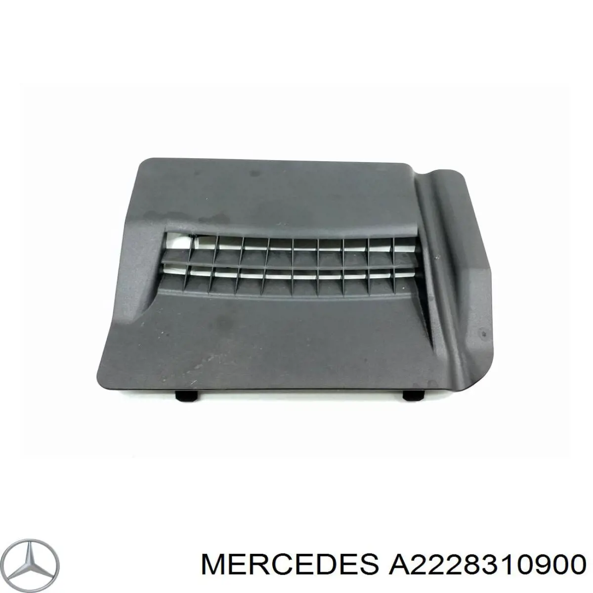 A2228310900 Mercedes 