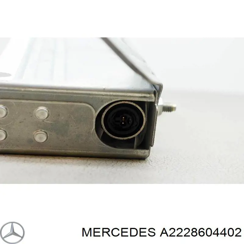 Купити A2228604402 Mercedes Подушка безпеки AIRBAG спинки сидіння, правого
