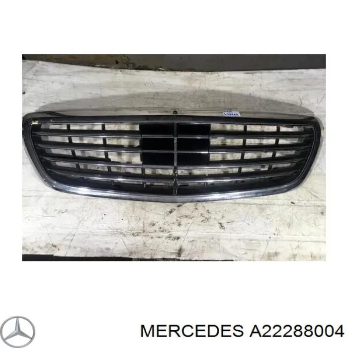  A22288004 Mercedes